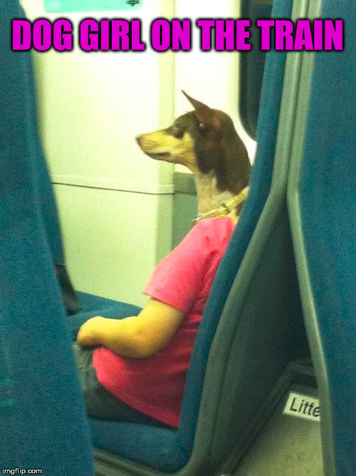 Must be experimenting again on hybrid humans | DOG GIRL ON THE TRAIN | image tagged in memes,hybrid,experiment,dog,girl,funny | made w/ Imgflip meme maker