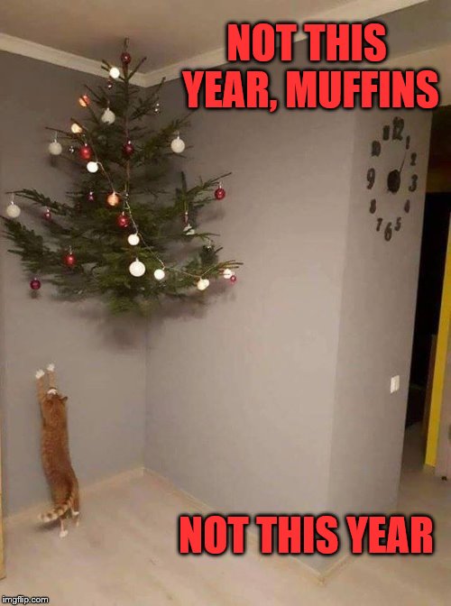 Not this year, not again! | NOT THIS YEAR, MUFFINS; NOT THIS YEAR | image tagged in funny,christmas,cat,christmas tree | made w/ Imgflip meme maker