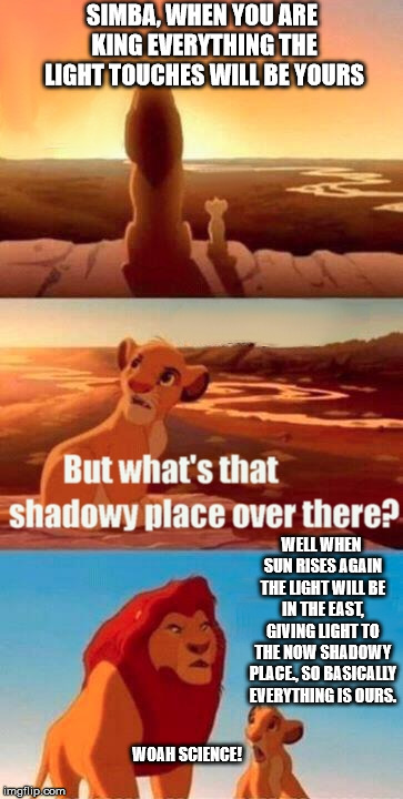 Please don't tell me nobodys ever thought of this while Re-watching the movie. | SIMBA, WHEN YOU ARE KING EVERYTHING THE LIGHT TOUCHES WILL BE YOURS; WELL WHEN SUN RISES AGAIN THE LIGHT WILL BE IN THE EAST, GIVING LIGHT TO THE NOW SHADOWY PLACE., SO BASICALLY EVERYTHING IS OURS. WOAH SCIENCE! | image tagged in memes,simba shadowy place | made w/ Imgflip meme maker