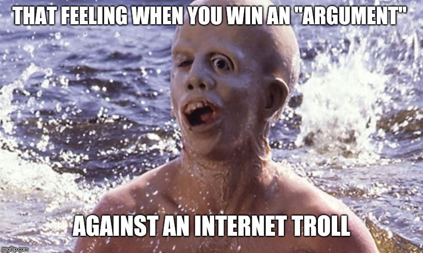 THAT FEELING WHEN YOU WIN AN "ARGUMENT"; AGAINST AN INTERNET TROLL | image tagged in troll,internet trolls,argument | made w/ Imgflip meme maker