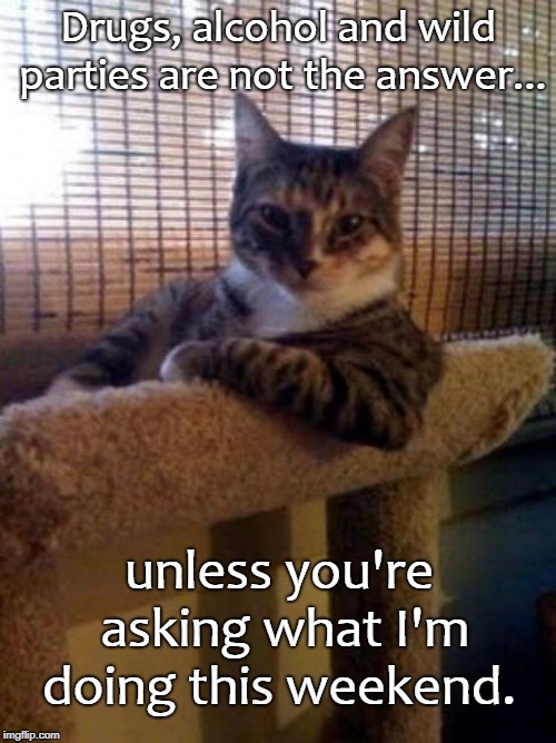 The Most Interesting Cat In The World | Drugs, alcohol and wild parties are not the answer... unless you're asking what I'm doing this weekend. | image tagged in memes,the most interesting cat in the world | made w/ Imgflip meme maker