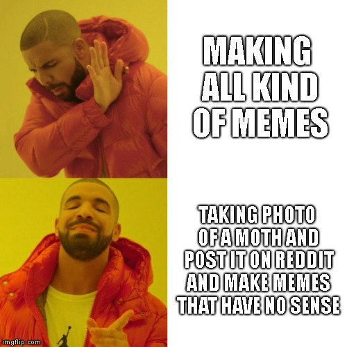 Drake Blank | MAKING ALL KIND OF MEMES; TAKING PHOTO OF A MOTH AND POST IT ON REDDIT AND MAKE MEMES THAT HAVE NO SENSE | image tagged in drake blank | made w/ Imgflip meme maker