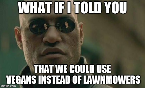 Vegan Lawn-mowing services | WHAT IF I TOLD YOU; THAT WE COULD USE VEGANS INSTEAD OF LAWNMOWERS | image tagged in memes,matrix morpheus,vegan,funny memes,good memes | made w/ Imgflip meme maker