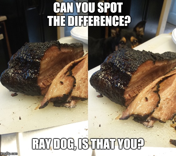 Homemade brisket will attract some critters!  | CAN YOU SPOT THE DIFFERENCE? RAY DOG, IS THAT YOU? | image tagged in bbq,raydog,match,hungry,delicious,smoke | made w/ Imgflip meme maker