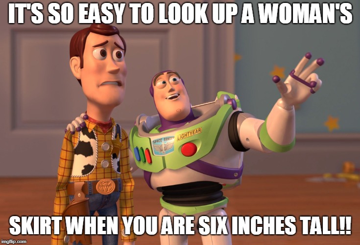 X, X Everywhere | IT'S SO EASY TO LOOK UP A WOMAN'S; SKIRT WHEN YOU ARE SIX INCHES TALL!! | image tagged in memes,x x everywhere | made w/ Imgflip meme maker