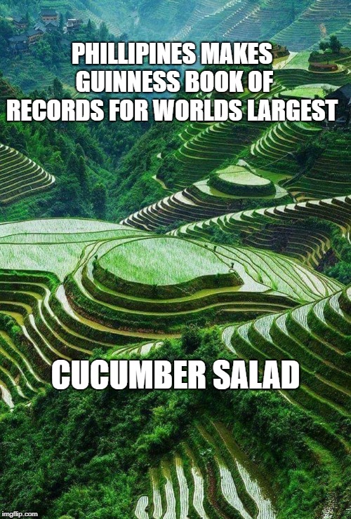 Guinness World Record | PHILLIPINES MAKES GUINNESS BOOK OF RECORDS FOR WORLDS LARGEST; CUCUMBER SALAD | image tagged in food,cooking,eating healthy,hungry | made w/ Imgflip meme maker