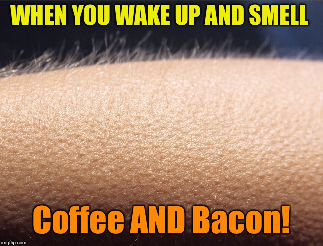 Wakin’ and Bacon! | WHEN YOU WAKE UP AND SMELL; Coffee AND Bacon! | image tagged in coffee,bacon,goosebumps,waking up,memes | made w/ Imgflip meme maker