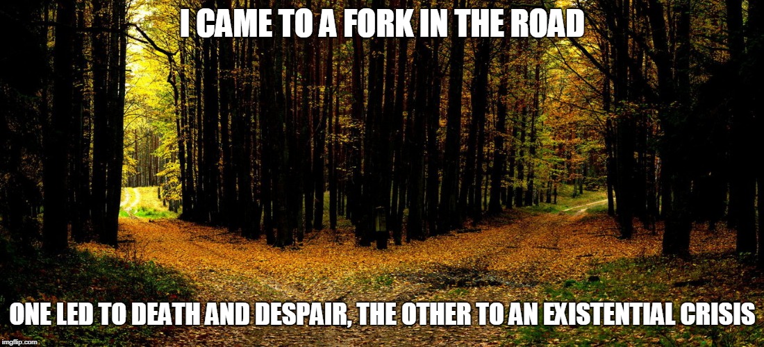 I CAME TO A FORK IN THE ROAD ONE LED TO DEATH AND DESPAIR, THE OTHER TO AN EXISTENTIAL CRISIS | made w/ Imgflip meme maker