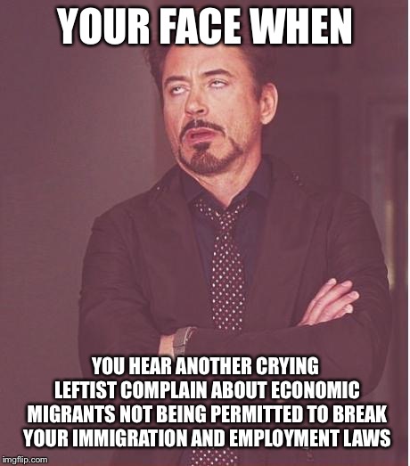 Face You Make Robert Downey Jr | YOUR FACE WHEN; YOU HEAR ANOTHER CRYING LEFTIST COMPLAIN ABOUT ECONOMIC MIGRANTS NOT BEING PERMITTED TO BREAK YOUR IMMIGRATION AND EMPLOYMENT LAWS | image tagged in memes,face you make robert downey jr | made w/ Imgflip meme maker