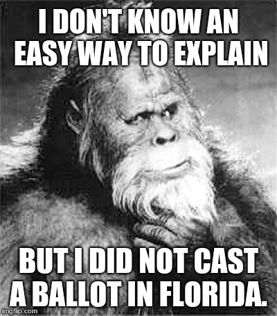 Florida, world champions in voter fraud. | I DON'T KNOW AN EASY WAY TO EXPLAIN; BUT I DID NOT CAST A BALLOT IN FLORIDA. | image tagged in bigfoot,voter fraud,florida,midterms | made w/ Imgflip meme maker