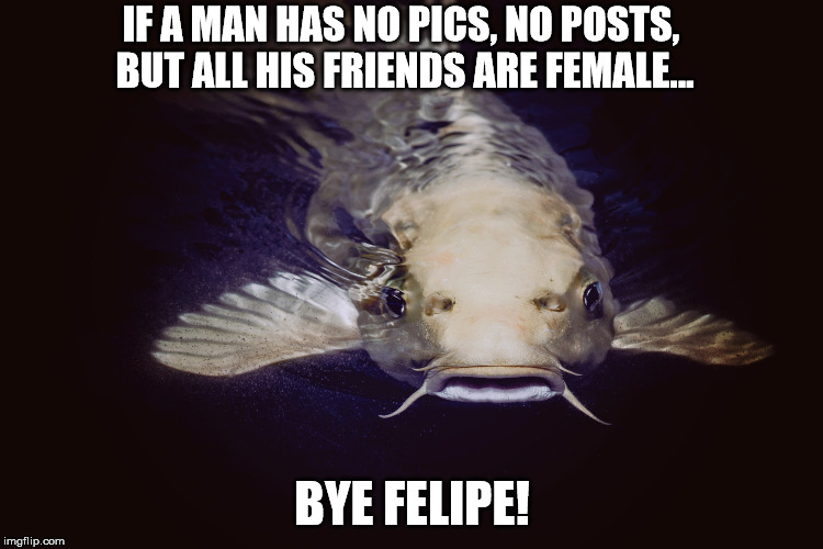 When your man's actions just don't add up... | IF A MAN HAS NO PICS, NO POSTS, BUT ALL HIS FRIENDS ARE FEMALE... BYE FELIPE! | image tagged in fake,catfish,hoodwinked,social media | made w/ Imgflip meme maker