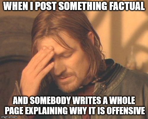 I really don't care about your feelings. | WHEN I POST SOMETHING FACTUAL; AND SOMEBODY WRITES A WHOLE PAGE EXPLAINING WHY IT IS OFFENSIVE | image tagged in memes,frustrated boromir | made w/ Imgflip meme maker