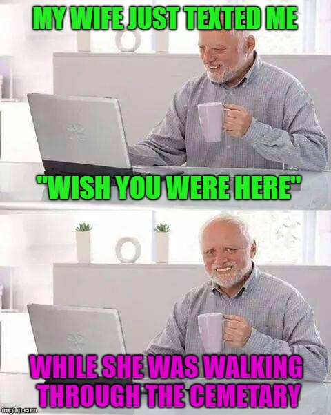 If I had a wife she would probably do that to me... | MY WIFE JUST TEXTED ME; "WISH YOU WERE HERE"; WHILE SHE WAS WALKING THROUGH THE CEMETARY | image tagged in memes,hide the pain harold,marriage,funny,relationships,single | made w/ Imgflip meme maker