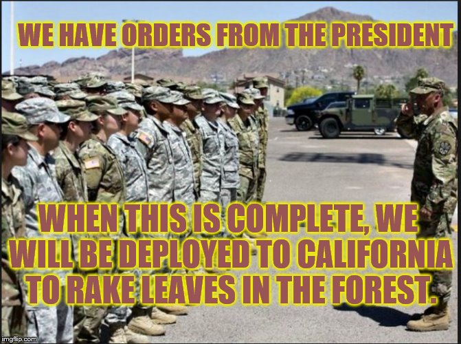 WE HAVE ORDERS FROM THE PRESIDENT; WHEN THIS IS COMPLETE, WE WILL BE DEPLOYED TO CALIFORNIA TO RAKE LEAVES IN THE FOREST. | image tagged in forest fire,caravan,military humor,california fires,immigrants,trump immigration policy | made w/ Imgflip meme maker
