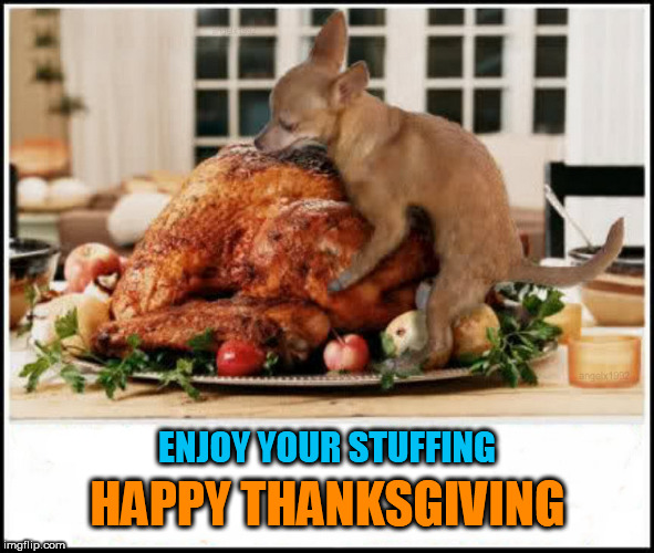 HAPPY THANKSGIVING; ENJOY YOUR STUFFING | image tagged in thanksgiving,happy thanksgiving,thanksgiving dinner,hump,chihuahua,stuffing | made w/ Imgflip meme maker
