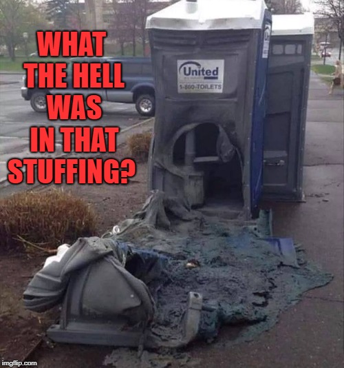 crap friday | WHAT THE HELL WAS IN THAT STUFFING? | image tagged in outhouse,burned | made w/ Imgflip meme maker