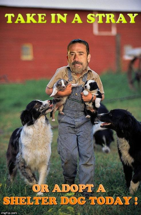 image tagged in the walking dead,negan,dogs,dog,puppies,walking dead | made w/ Imgflip meme maker