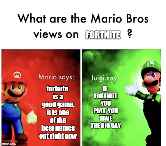 Mario Bros. Views | FORTNITE; fortnite is a good game, it is one of the best games out right now; IF FORTNITE YOU PLAY, YOU HAVE THE BIG GAY | image tagged in mario bros views | made w/ Imgflip meme maker