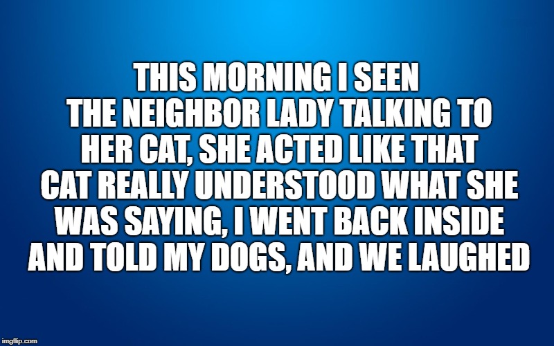 Crazy Cat Lady | THIS MORNING I SEEN THE NEIGHBOR LADY TALKING TO HER CAT, SHE ACTED LIKE THAT CAT REALLY UNDERSTOOD WHAT SHE WAS SAYING, I WENT BACK INSIDE AND TOLD MY DOGS, AND WE LAUGHED | image tagged in crazy cat lady,dogs an cats,dogs rule,dogs,cats | made w/ Imgflip meme maker