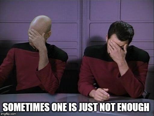 Double Facepalm | SOMETIMES ONE IS JUST NOT ENOUGH | image tagged in double facepalm | made w/ Imgflip meme maker