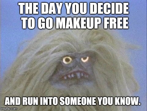 Annoyed and confused Yeti | THE DAY YOU DECIDE TO GO MAKEUP FREE; AND RUN INTO SOMEONE YOU KNOW. | image tagged in annoyed and confused yeti | made w/ Imgflip meme maker