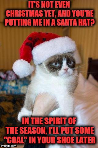 Too early for me still | IT'S NOT EVEN CHRISTMAS YET, AND YOU'RE PUTTING ME IN A SANTA HAT? IN THE SPIRIT OF THE SEASON, I'LL PUT SOME "COAL" IN YOUR SHOE LATER | image tagged in memes,grumpy cat christmas,grumpy cat | made w/ Imgflip meme maker