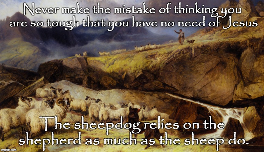 Sheepdog in Training | Never make the mistake of thinking you are so tough that you have no need of Jesus; The sheepdog relies on the shepherd as much as the sheep do. | image tagged in sheepdog,sheep,memes,tough guy,feed my sheep,jesus christ | made w/ Imgflip meme maker