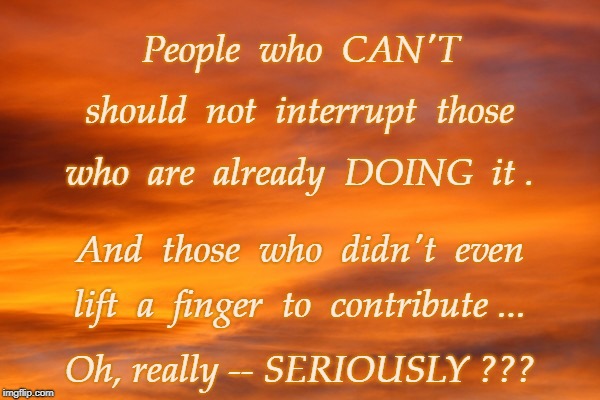 Interrupting Now, Are You? | People  who  CAN'T; should  not  interrupt  those; who  are  already  DOING  it . And  those  who  didn't  even; lift  a  finger  to  contribute ... Oh, really -- SERIOUSLY ??? | image tagged in can't,doing,seriously | made w/ Imgflip meme maker