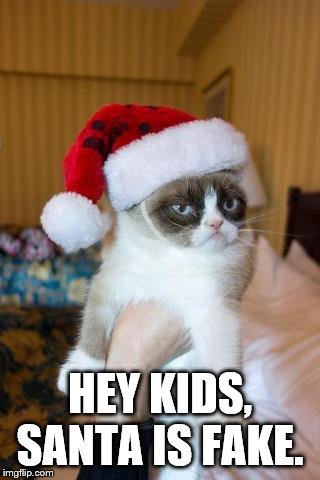 Grumpy Cat Christmas | HEY KIDS, SANTA IS FAKE. | image tagged in memes,grumpy cat christmas,grumpy cat | made w/ Imgflip meme maker