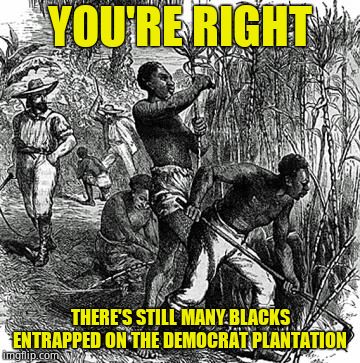 Black Plantation Slave Sex