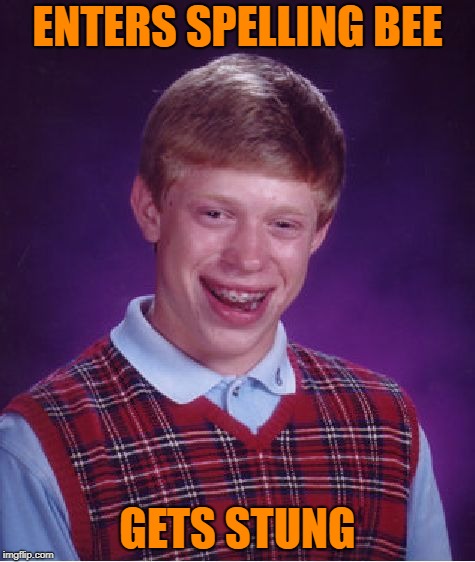 Ouch | ENTERS SPELLING BEE; GETS STUNG | image tagged in memes,bad luck brian | made w/ Imgflip meme maker