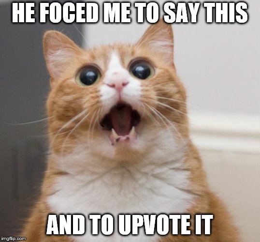 scared cat | HE FOCED ME TO SAY
THIS; AND TO UPVOTE IT | image tagged in scared cat | made w/ Imgflip meme maker