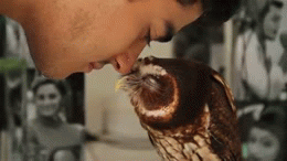 Owl Loves Eskimo Kisses
