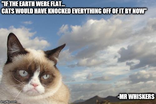Purrfectly Obvious! | "IF THE EARTH WERE FLAT...              CATS WOULD HAVE KNOCKED EVERYTHING OFF OF IT BY NOW"; -MR WHISKERS | image tagged in memes,grumpy cat sky,grumpy cat | made w/ Imgflip meme maker