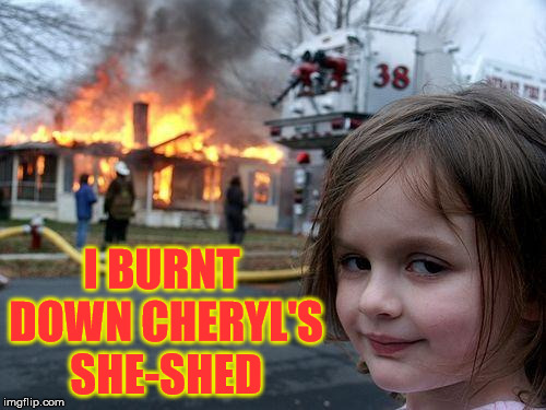 Disaster Girl | I BURNT DOWN CHERYL'S SHE-SHED | image tagged in memes,disaster girl,she,state farm | made w/ Imgflip meme maker
