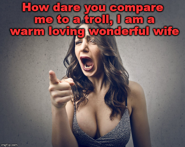 How dare you compare me to a troll, I am a warm loving wonderful wife | image tagged in crazy girl | made w/ Imgflip meme maker