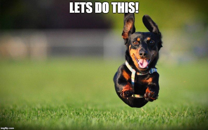 Dog Running | LETS DO THIS! | image tagged in dog running | made w/ Imgflip meme maker