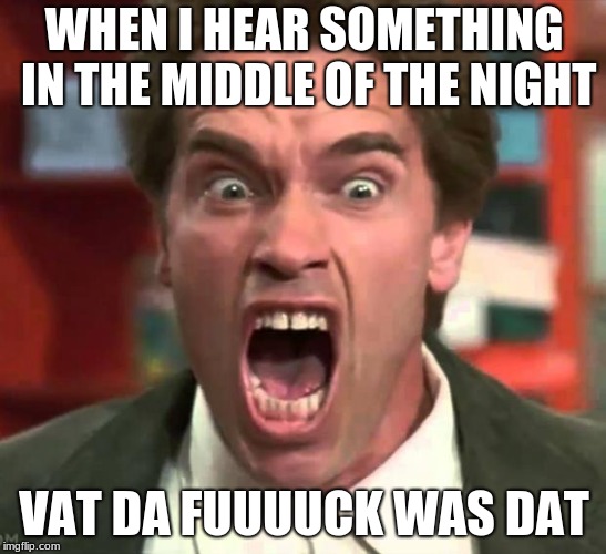 Arnold yelling | WHEN I HEAR SOMETHING IN THE MIDDLE OF THE NIGHT; VAT DA FUUUUCK WAS DAT | image tagged in arnold yelling | made w/ Imgflip meme maker
