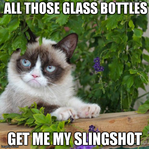 ALL THOSE GLASS BOTTLES GET ME MY SLINGSHOT | made w/ Imgflip meme maker