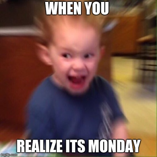 Kid Screaming | WHEN YOU; REALIZE ITS MONDAY | image tagged in kid screaming | made w/ Imgflip meme maker