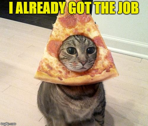 pizza cat | I ALREADY GOT THE JOB | image tagged in pizza cat | made w/ Imgflip meme maker