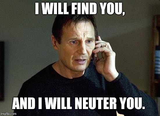 Liam Neeson Taken 2 Meme | I WILL FIND YOU, AND I WILL NEUTER YOU. | image tagged in memes,liam neeson taken 2 | made w/ Imgflip meme maker