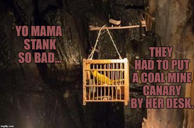 When the bird dies, turn the AC down. | THEY HAD TO PUT A COAL MINE CANARY BY HER DESK. YO MAMA STANK SO BAD... | image tagged in peta,funny memes,animal rights,yo mama joke,yo mama so fat | made w/ Imgflip meme maker