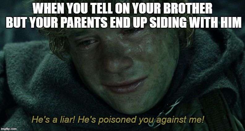 poor sam | WHEN YOU TELL ON YOUR BROTHER BUT YOUR PARENTS END UP SIDING WITH HIM; He's a liar! He's poisoned you against me! | image tagged in lotr,memes | made w/ Imgflip meme maker