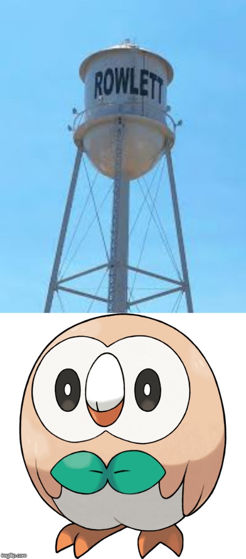 There's city in Texas called Rowlett | image tagged in city,rowlet,pokemon,texas,pokemon sun and moon | made w/ Imgflip meme maker