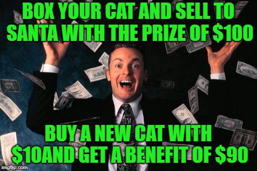 BOX YOUR CAT AND SELL TO SANTA WITH THE PRIZE OF $100 BUY A NEW CAT WITH $10AND GET A BENEFIT OF $90 | image tagged in memes,money man | made w/ Imgflip meme maker