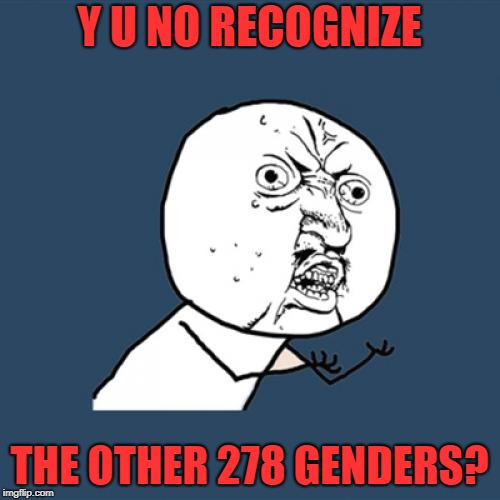 Y U No Meme | Y U NO RECOGNIZE THE OTHER 278 GENDERS? | image tagged in memes,y u no | made w/ Imgflip meme maker