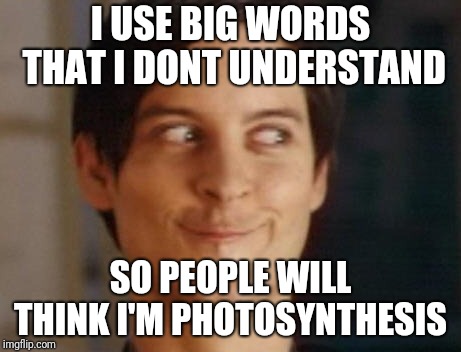 He's so smart | I USE BIG WORDS THAT I DONT UNDERSTAND; SO PEOPLE WILL THINK I'M PHOTOSYNTHESIS | image tagged in memes,spiderman peter parker | made w/ Imgflip meme maker