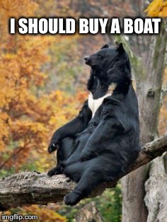 i should buy a boat | I SHOULD BUY A BOAT | image tagged in i should buy a boat,bear memes,bear meme,memes,bears | made w/ Imgflip meme maker