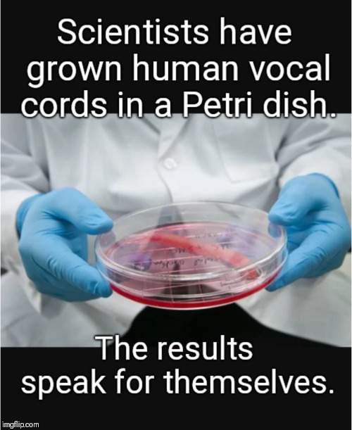 The results speak for themselves | image tagged in science,upvote,medical,puns,dishes | made w/ Imgflip meme maker